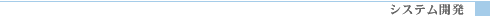 システム開発