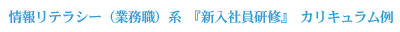 情報リテラシー系 新入社員研修　カリキュラム例